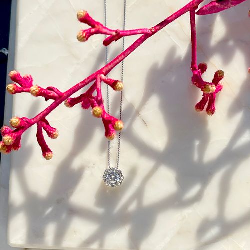 Colar zircônia branca flor cravejado prata 925 50cm